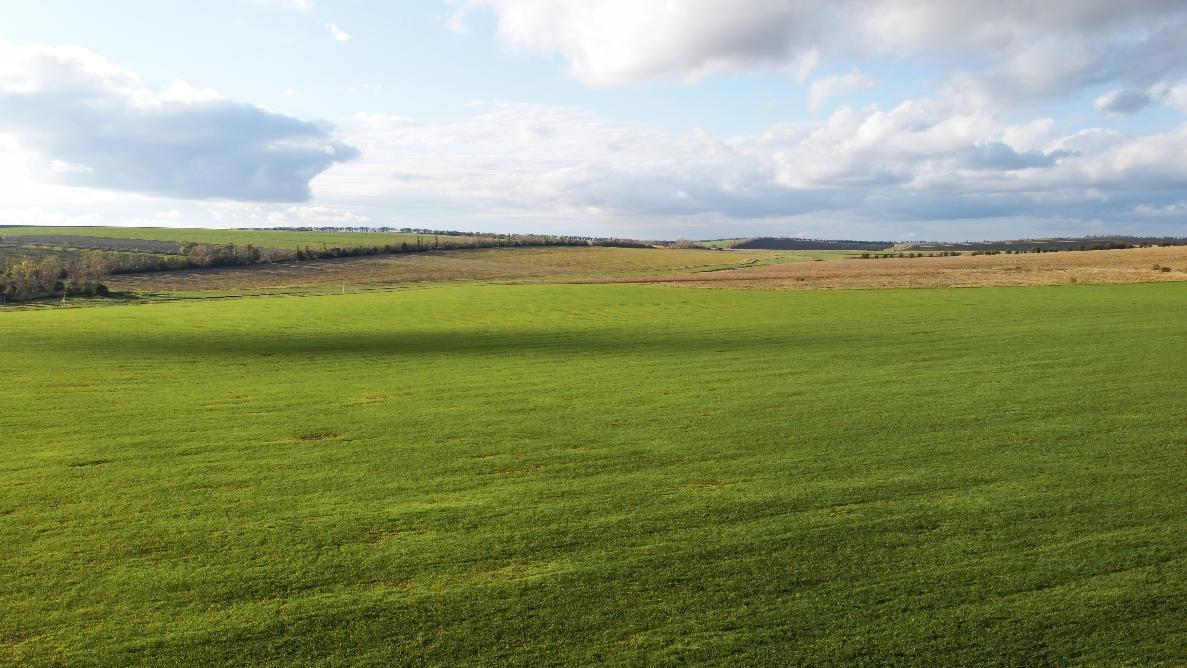 Essential Questions to Ask Before Purchasing Acreage